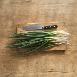 【葉ネギ（小ネギ）1キロ 】(^O^)栽培期間中農薬・化学肥料不使用