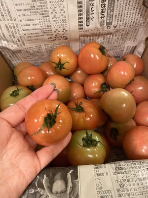 みんなの投稿の画像