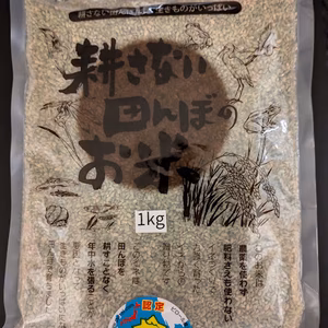 令和6年冬季湛水半不耕起栽培米  (ハッピーヒル）ピロール蒼玄米5kg