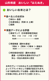 【新米】 おいしいはえぬき 5kg 一等米 無洗米 山形県産 