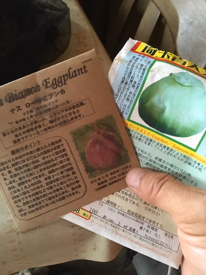 みんなの投稿の画像