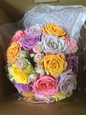 みんなの投稿の画像