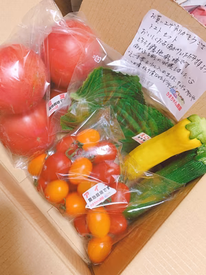 みんなの投稿の画像