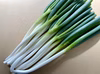【訳あり】数量限定 長ねぎ