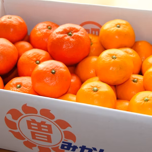 低農薬栽培 小原紅＆みかん5kg