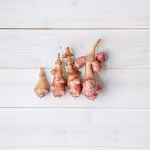 農薬・肥料不使用・自然栽培のめずらしいフランス種、紅菊芋