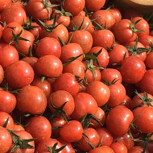 ミニトマト❤️プチぷよ