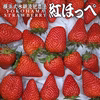 べにほっぺ30ｇ以上の大粒をたっぷり600g【増量いたしました】