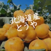 【北海道産とうや】1口サイズ★30年以上作り続けるじゃがいも農家★