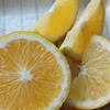 【そのまま食べられる】レモンレモネード　和歌山