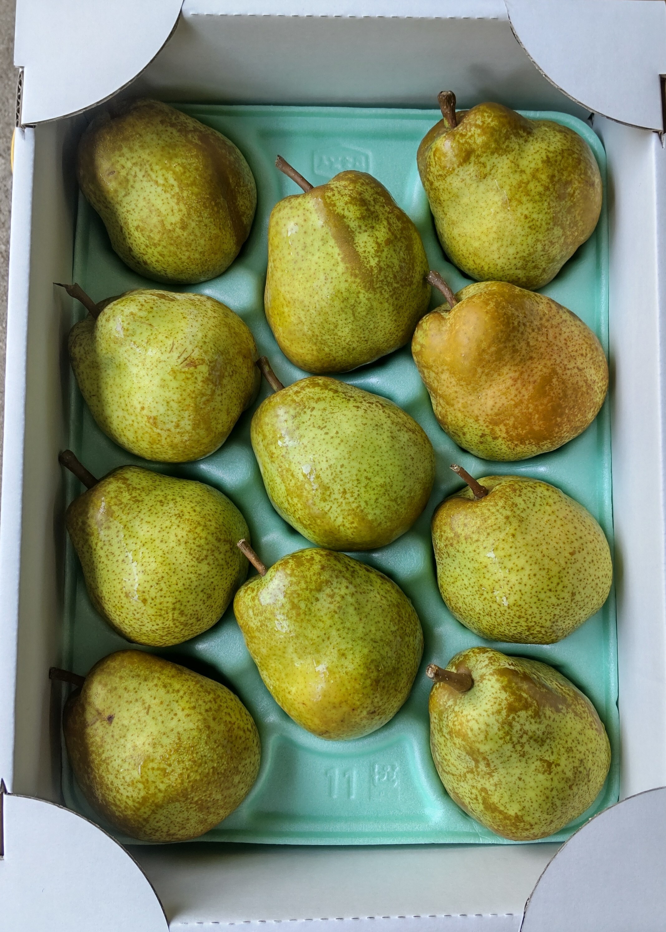 洋梨の通販・お取り寄せ商品｜果物｜ポケットマルシェ｜産地直送で旬の