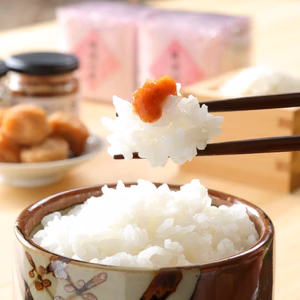 《梅びしお　100g×3個》　お肉料理にも！野菜のディップにも！