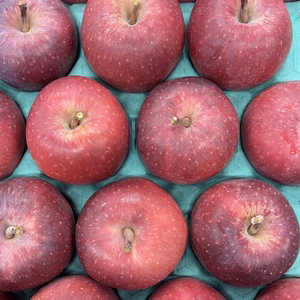 4-23 秀5キロ【超希少品種！通好みのりんご！限定10箱！】
