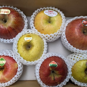 訳あり　りんご7種セット2kg