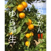 和歌山産 ゆら早生みかん 