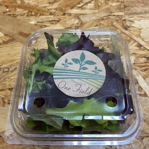 ベビーリーフサラダS