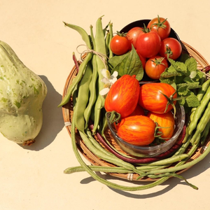 【月1便　初回7月末頃出荷】こだわり有機農家のオーガニック野菜セット7-8種類