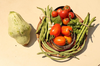 【月1便】こだわり有機農家のオーガニック野菜セット7-8種類