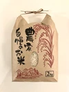 【令和2年度】新潟県産コシヒカリ 2kg(一等米)