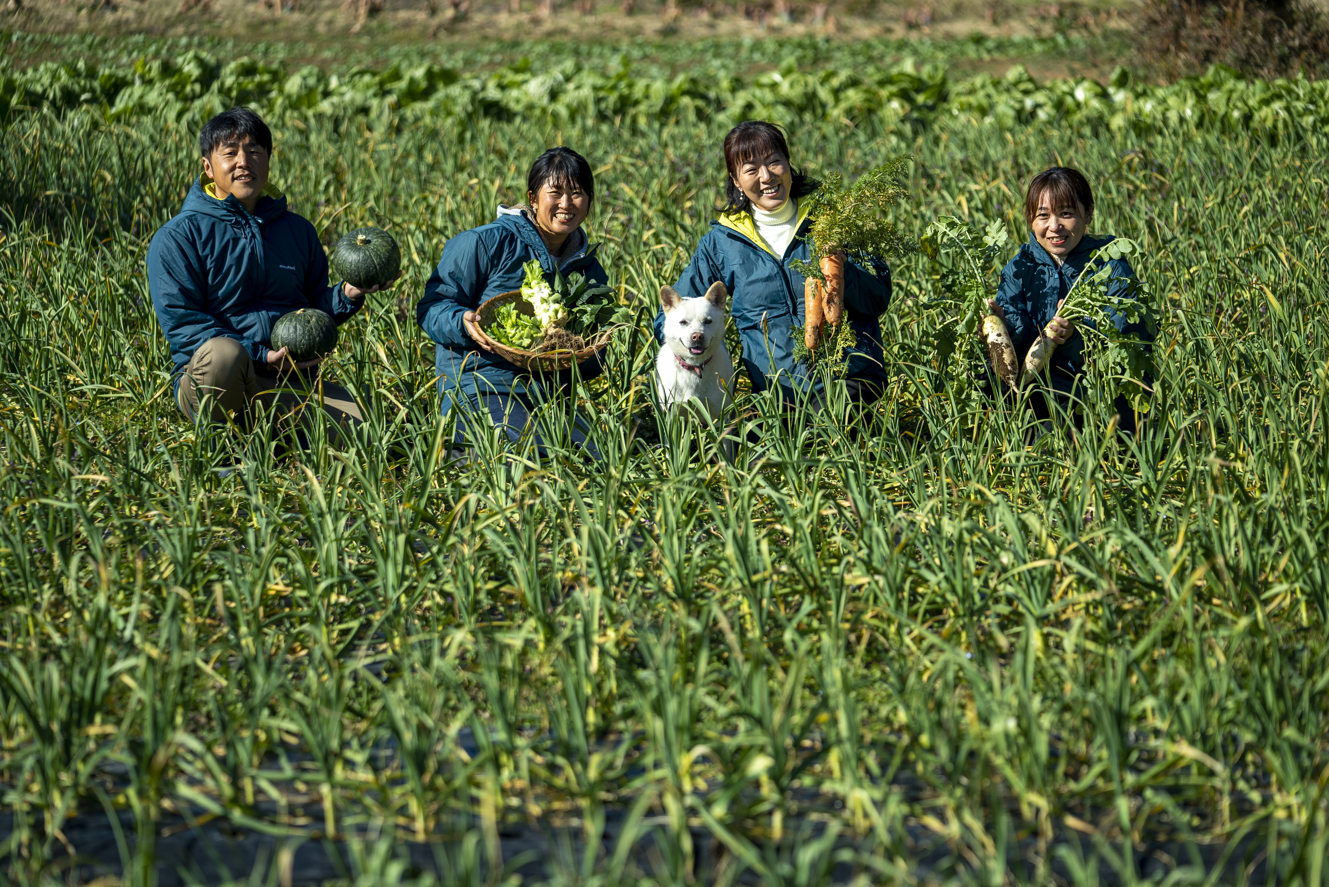 高知県四万十市｜やまみずき農園（ﾏﾙ・ｼｪﾘｱ）｜永島尚世さんの生産者