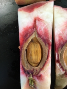 0D14EA88-1DB5-4D13-BB16-F01907D18F94