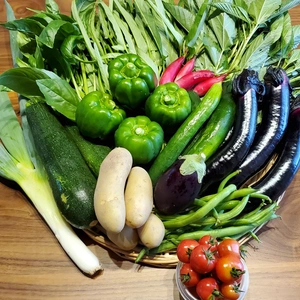 生命力溢れる季節の野菜セット8～10品種【無農薬無化学肥料】