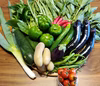 生命力溢れる季節の野菜セット8～10品種【無農薬無化学肥料】