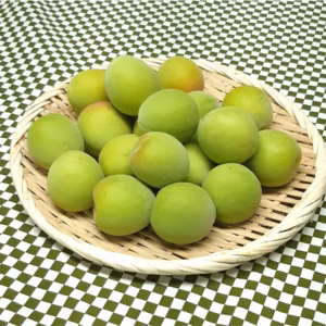 青梅・南高　３L以上サイズ（特大／梅干し・梅酒など）　約２kg～