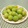 青梅・南高　３L以上サイズ（特大／梅干し・梅酒など）　約２kg～