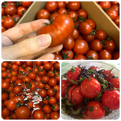 みんなの投稿の画像