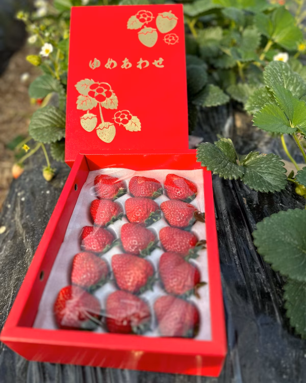 完熟特別いちご《ゆめあわせ》