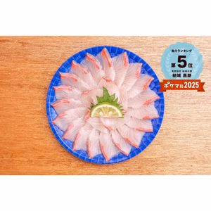 【旨味濃厚!! 熟成魚】金寿カンパチ丸皿　冷凍刺身2皿～3皿