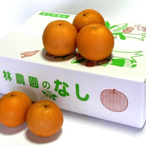 旬の梨・あきづき梨　約5kg(12～16玉)　