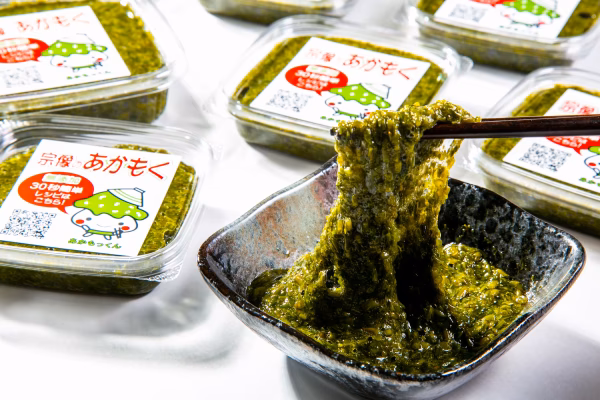 【予約販売】シーズン間近！新物あかもく  福岡県宗像産