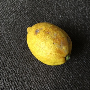 レモン三級品　※在庫はこれだけです