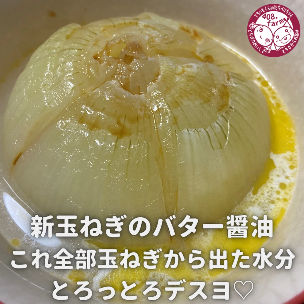 【ひとつで何品も♡】いっぺん食べてくろ！実は生産量上位の栃木の大きめ新玉ねぎ☆