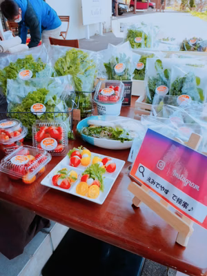 みんなの投稿の画像