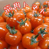 夏秋ミニトマト★爽やかでフレッシュな味わい!!筋肉トマト♪♪