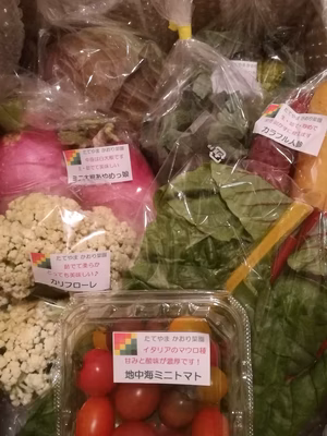 みんなの投稿の画像