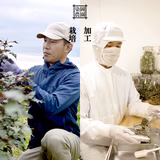 染岡雅明 | 染岡農園