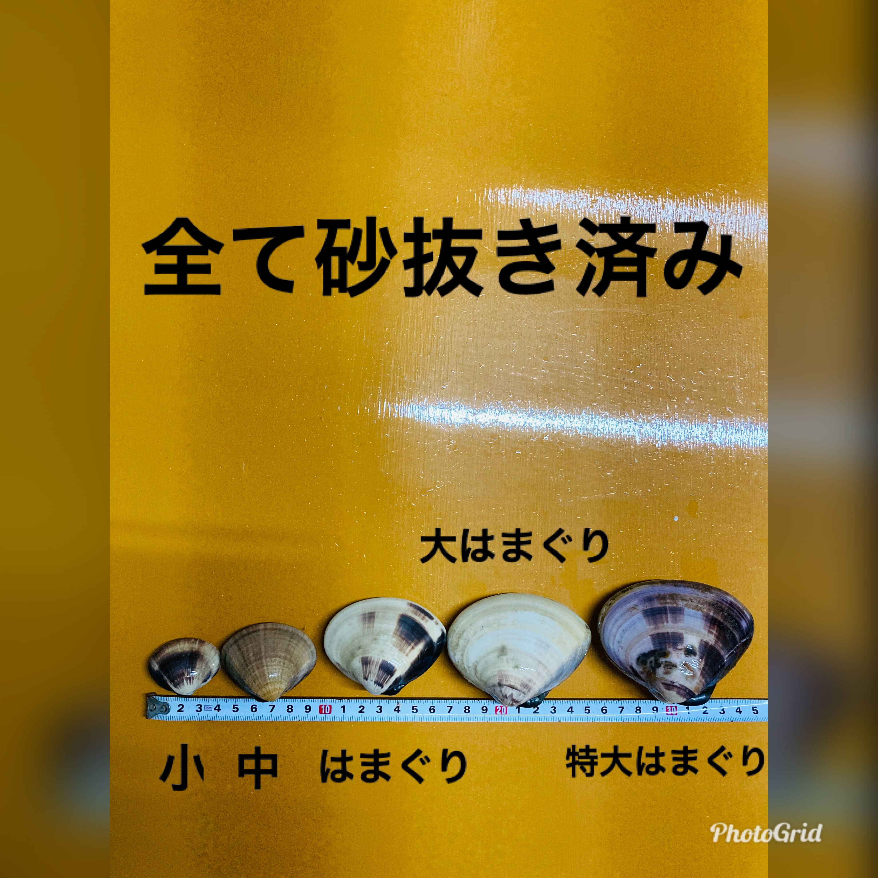 はまぐり全種セット 各500g入り 農家漁師から産地直送の通販 ポケットマルシェ