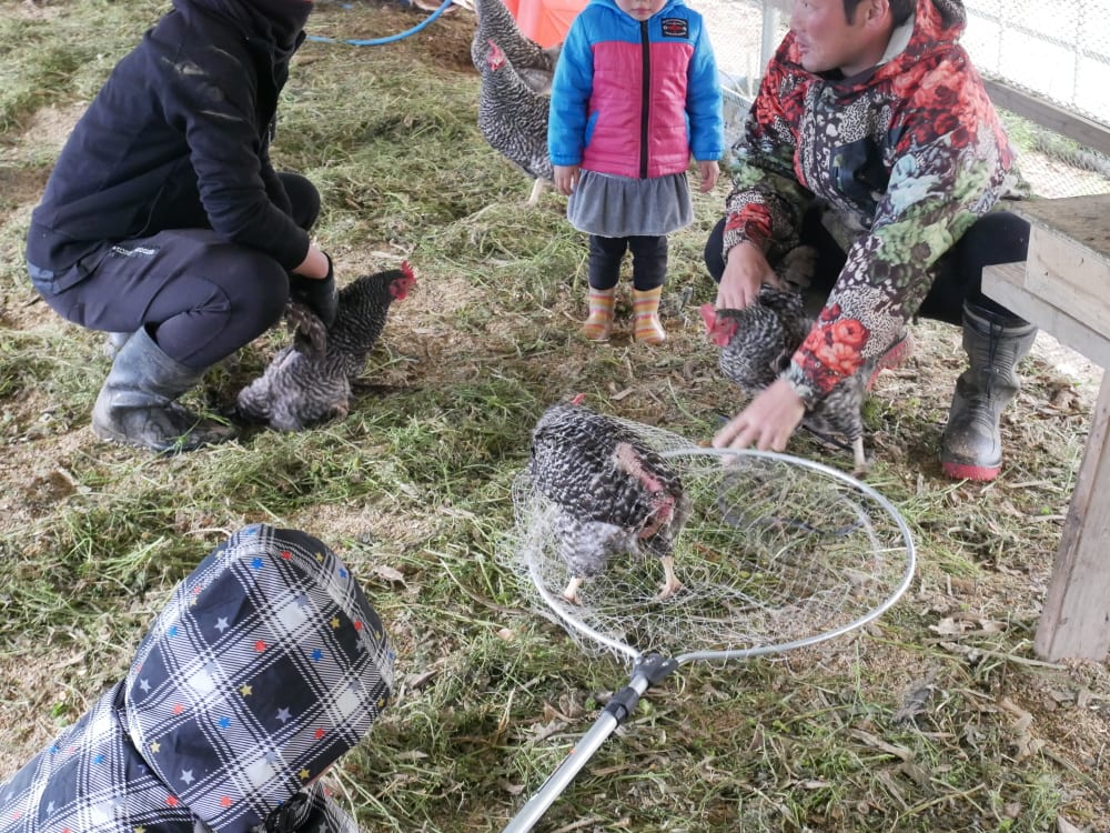 鶏が教えてくれた 本当の いただきます 農家漁師から産地直送の通販 ポケットマルシェ
