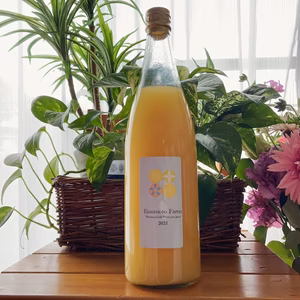 湘南ゴールド100％ストレートジュース720ml