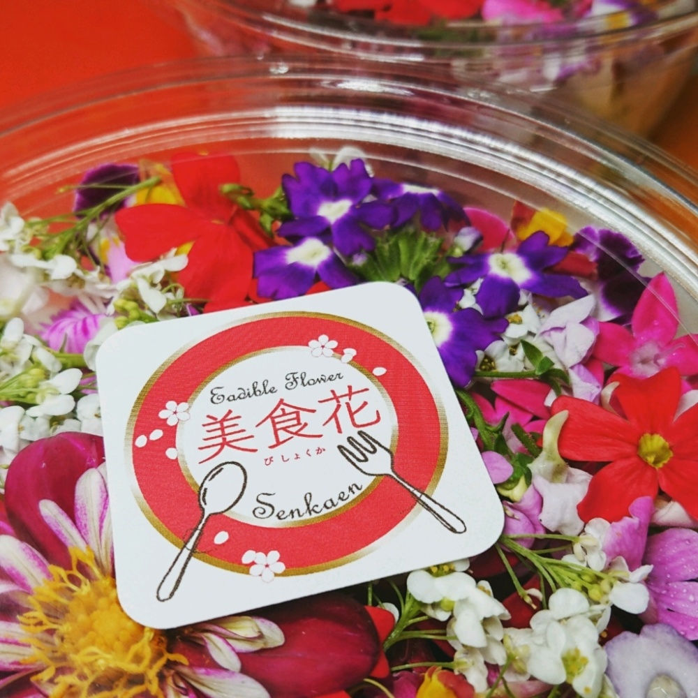 市場 エディブルフラワー 24 30程度の食用花 食用花 愛知県産 約100g 入れ物含 エディブル