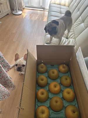 みんなの投稿の画像