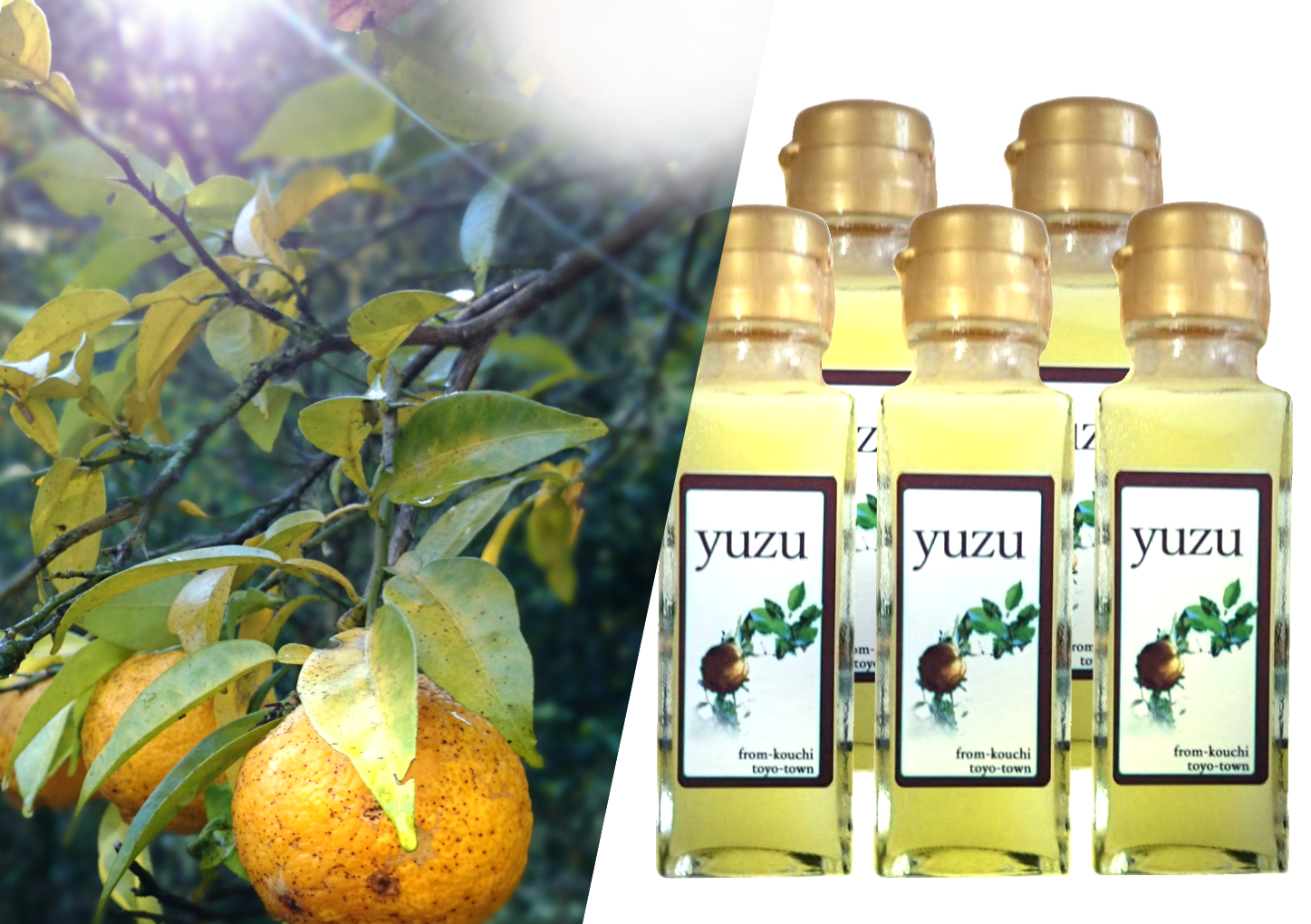 ゆず果汁 ゆずプレミアム果汁5本(100ml×5本農薬:栽培期間中不使用) ゆず果汁プレミアム5本セット