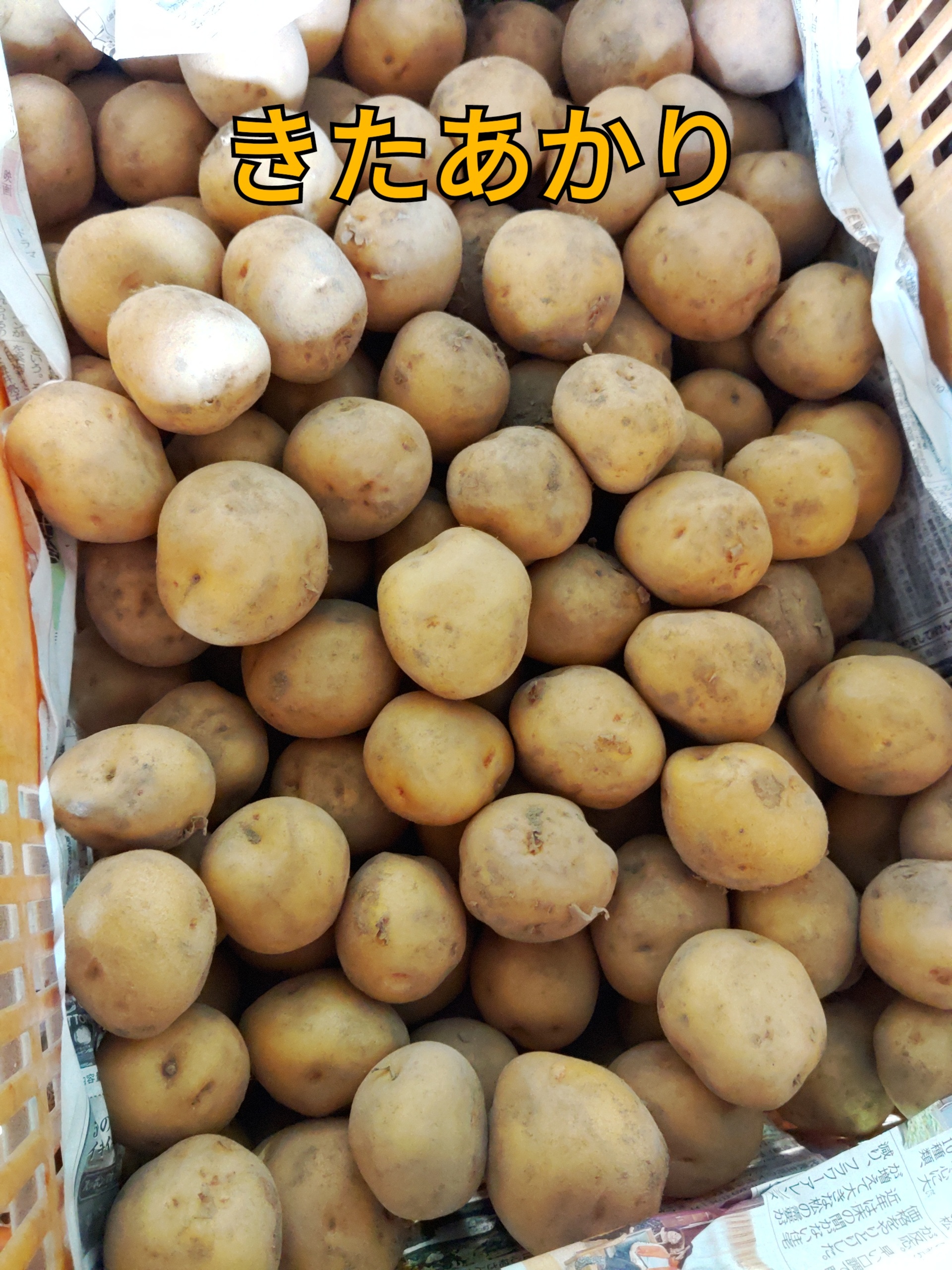 じゃがいもの通販・お取り寄せ商品｜野菜｜ポケットマルシェ