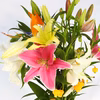 ユリ花束セット熨斗対応可