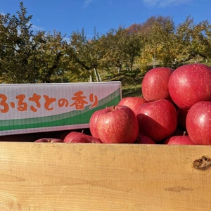 りんごの王様ふじりんご⭐︎家庭用 農薬60％減 甘味と酸味のバランスがよく濃厚！