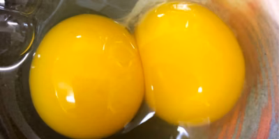 幸せの4つ星☆☆☆☆たまご